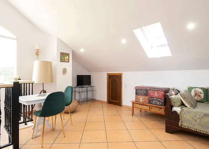 Prázdninový dům Major And